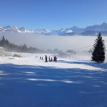 Magnifique *