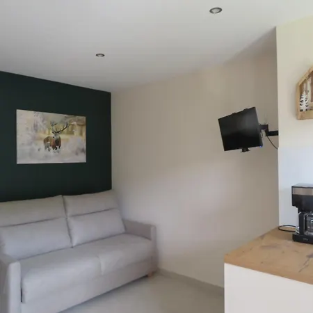 Magnifique Apartment Megève